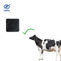 Cow Ear Tag Fixed Reader för dörren