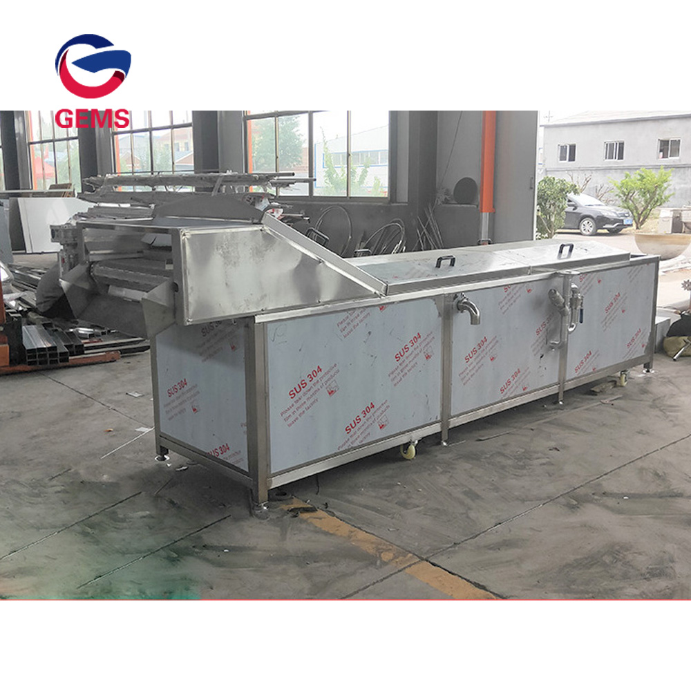 Steam Heating Potato Chips Yam Blanching Machine