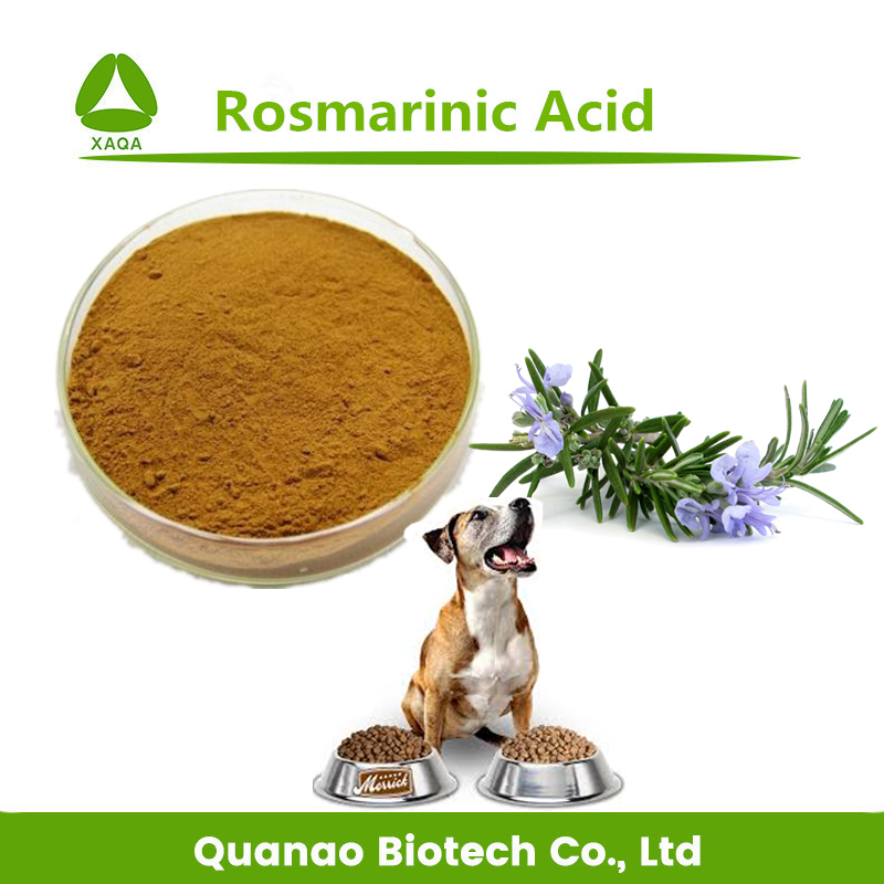 Aliments pour animaux de compagnie extrait de poudre d'acide rosmarinique 2,5%