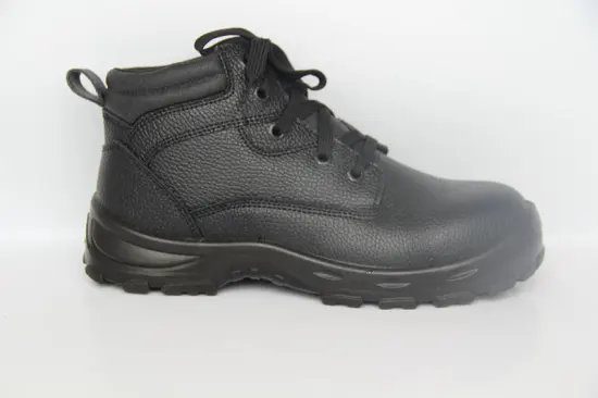 Factory Price Safety Shoes WMN-305