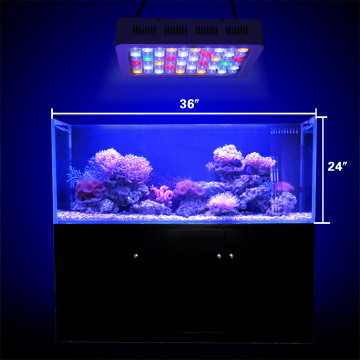 165W Phlizon LED-aquariumlicht in zwart