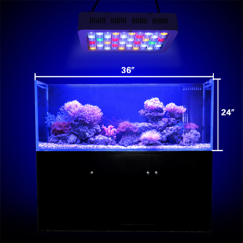 Dimmable LED Light dengan Switch Aquarium Coral