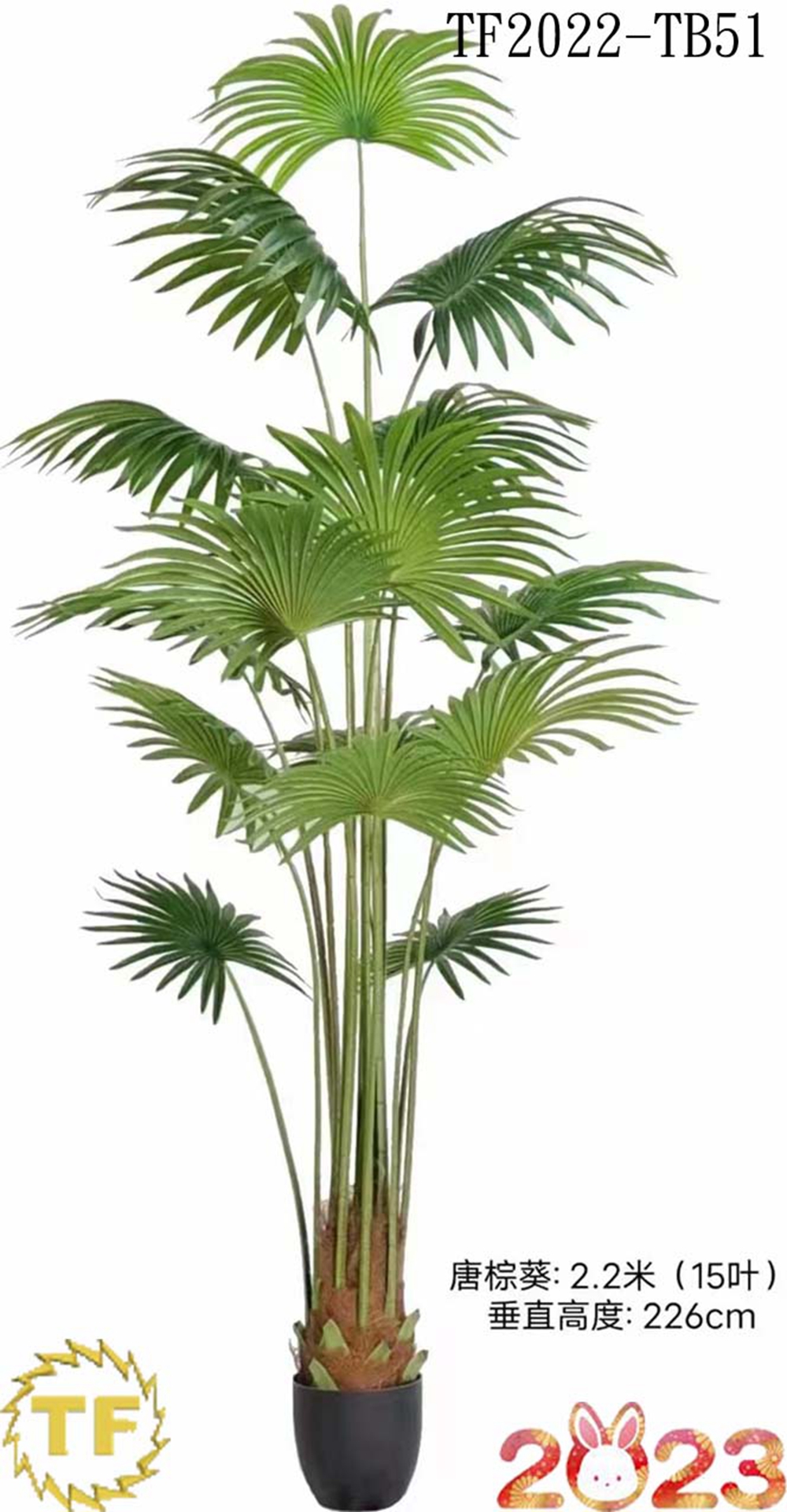 Fan Palm X 15 de 88 "