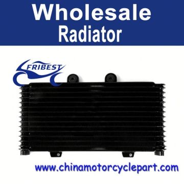 For Suzuki GSF1200 Replacement Radiator FRDSU002