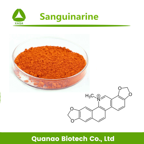 Sanguinarine Powder 60% Macleaya Cordata Extract Powder Sanguinarine 60% Supplier