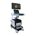 Trolley Color Doppler Ultrasound Diagnostic System