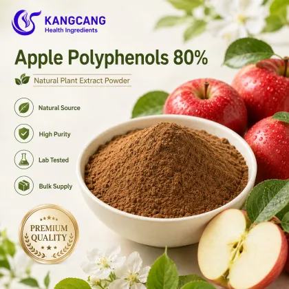 Apple Extract Apple Peel Extract Polyphenols 98%