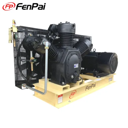 2021 High Pressure Air Compressor Piston Air-Compressors