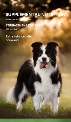 Improve Pet Digestive Health with Probiotics and Vitamins