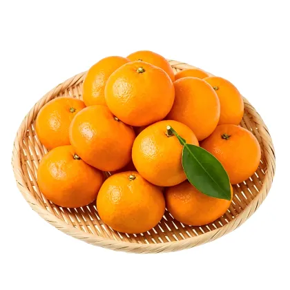 Lush Golden Fresh Tangerines