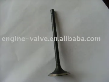 motor enigne valve