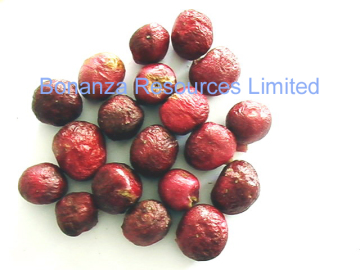 Freeze Dried Cherry Whole