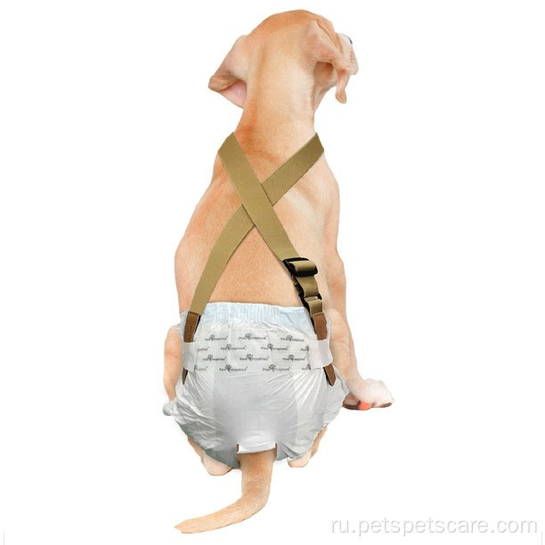 Собачья подгузник держит мужские собачьи подгузники
