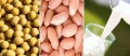 콩 우유 유청 단백질 제작 기계