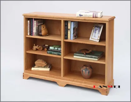 Bookcase (B-C-1)