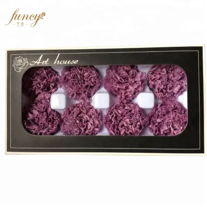 FuncyFlora Wholesale: Natural Preserved Carnation Flowers