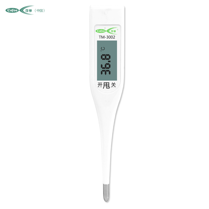 electric thermometer