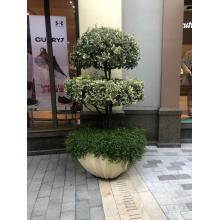 Concrete Cement Flower Planters Bowl