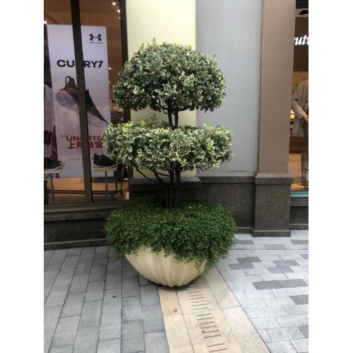 Concrete Cement Flower Planters Bowl.