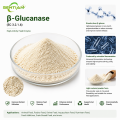 β-Glucanase Enzyme for Animal Feed Efficiency