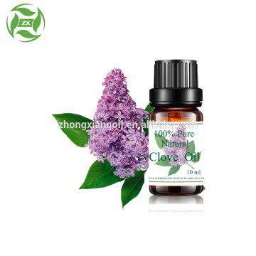 Organic essential oil bulk clove oil