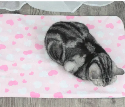 Cold Winter Infrared Warm Polymer Electric Floor Heating Film