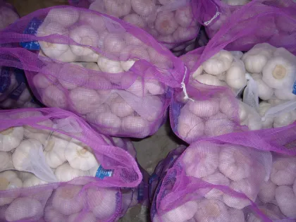 070320 Chinese Supreme Fresh Garlic