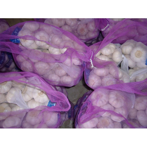 Garlic bulb mesh bag hi-res stock photography and images - Alamy