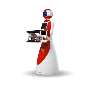 Humanoid Robot for Food Delivery and Automatic Obstacle Avoidance in Restaurants