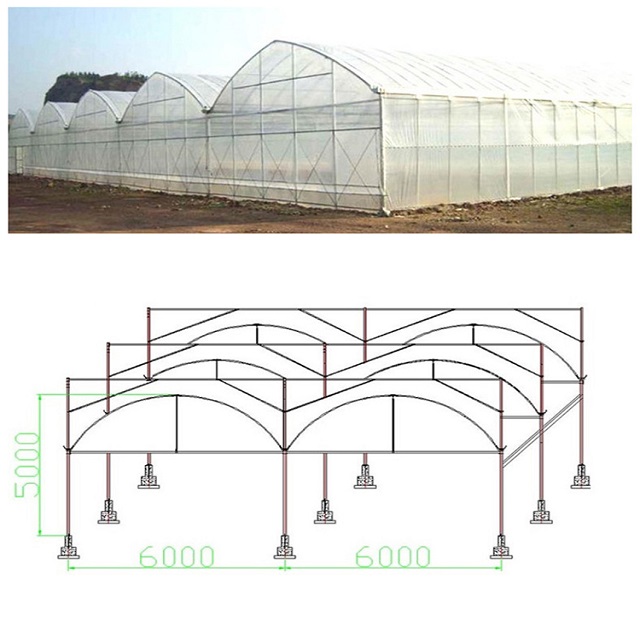 Multi Span Plastic Film Greenhouse