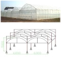 Greenhouse de filme plástico multi -span