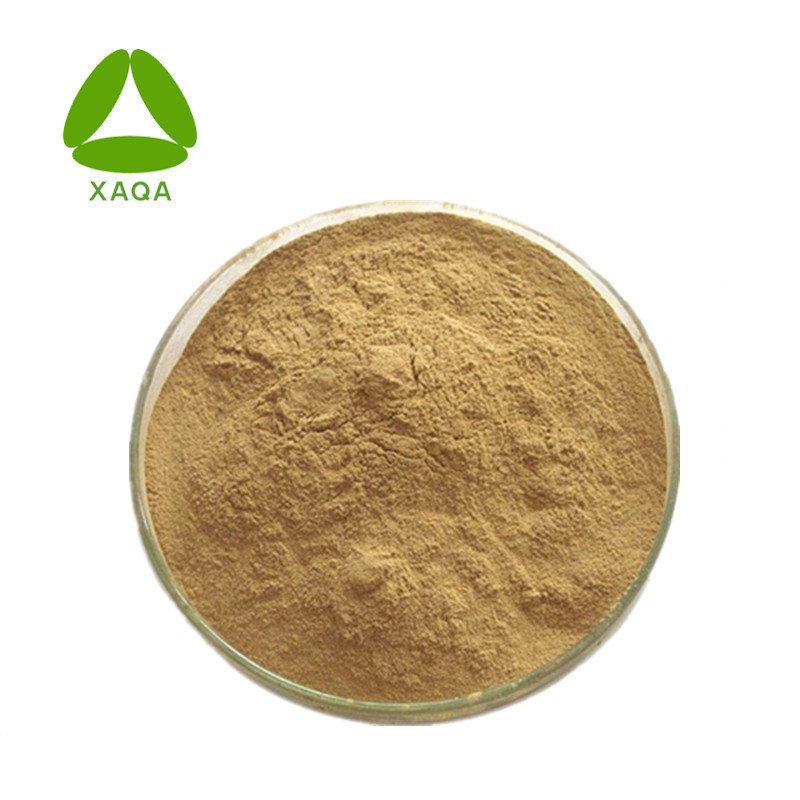 Lotus Leaf Extract