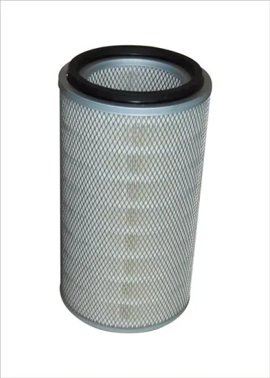 Auto / Car / Truck Automobile Fuel Filter With Hook Embedded , Hv Paper