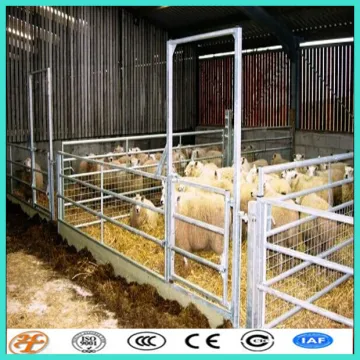 10x800 tall panel pet exercise lowes goat fencing