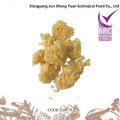 Premium Bulk White Fungus Agricultural Products