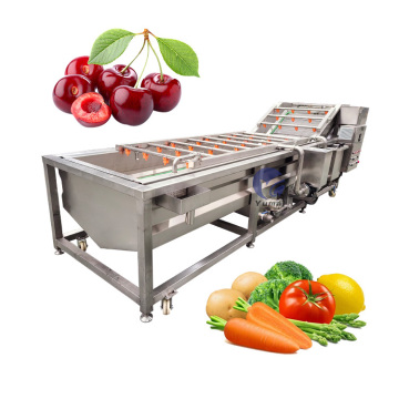 Mesin basuh sayur dan buah automatik dengan pensterilan ozon