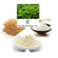 Gynura Divaricata Herbal Extract for Immune Support and Vitality
