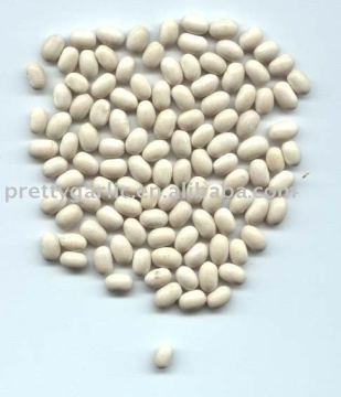 White Kidney Bean