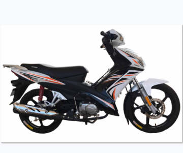 China Factory Wholesale High Cost-Effective FH110-3 Racing Motorcycles