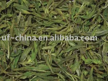 Special grade Chinese green tea