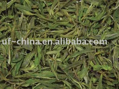 Special grade Chinese green tea
