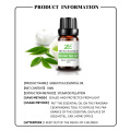 Green Tea Essential Oil Premium Therapeutic Grade