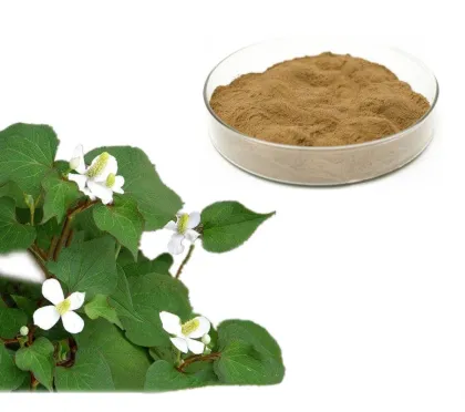 Nature Product houttuynia cordata extract