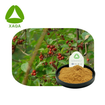 Sarsaparilla Root Extract Sarsasapogenin 98% Powder