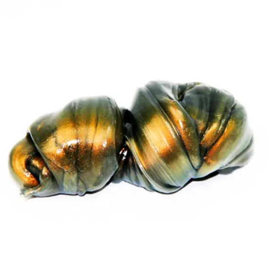 Silicone Multi-Color Shifting Chameleon Bouncing Putty