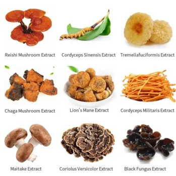 Youth Strong Product Mushroom Extract