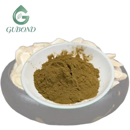 Astragalus Extract Powder for Dietary Supplements