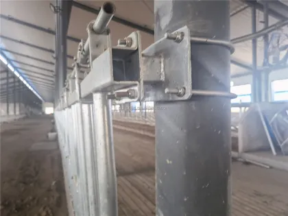 Hot Sell Cow Headlock Auto Release Cattle Stall Gate for Dairy and Beef Farms