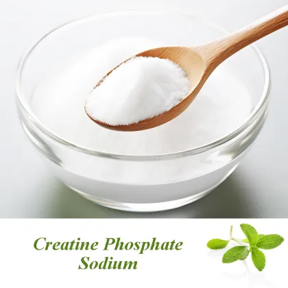Wholesale Creatine Phosphate Sodium