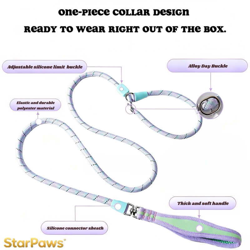 Heavy Duty Slip Lead Training Leash for Dogs
